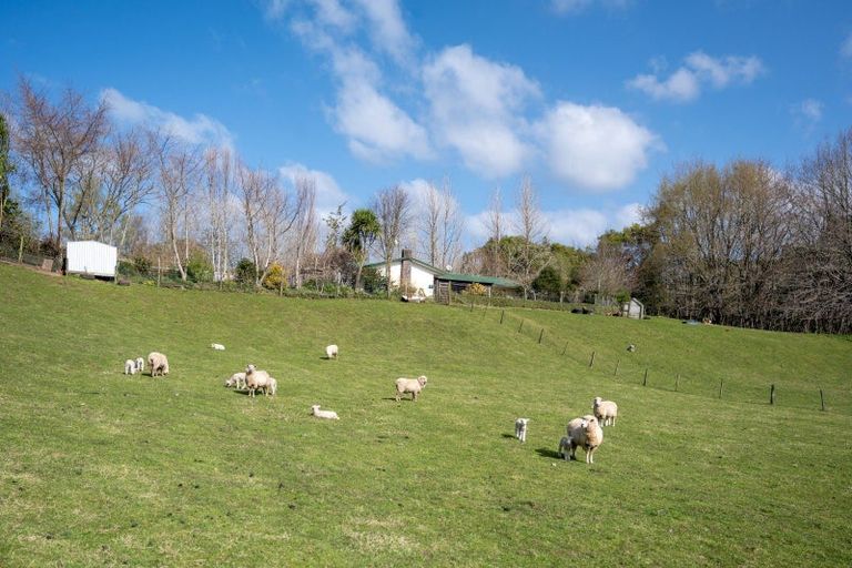 Photo of property in 728 Paradise Valley Road, Ngongotaha Valley, Rotorua, 3072