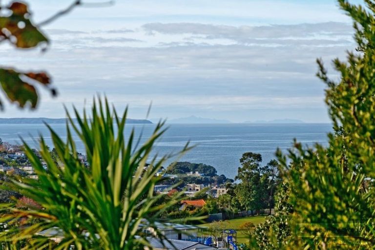 Photo of property in 269 East Coast Road, Mairangi Bay, Auckland, 0630