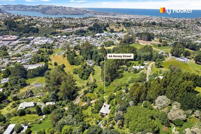 Photo of property in 4a Ronay Street, Bradford, Dunedin, 9011