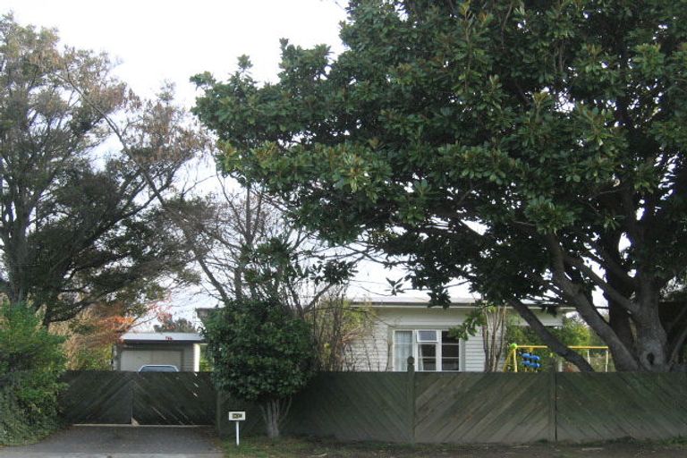 Photo of property in 904 Frederick Street West, Mahora, Hastings, 4120