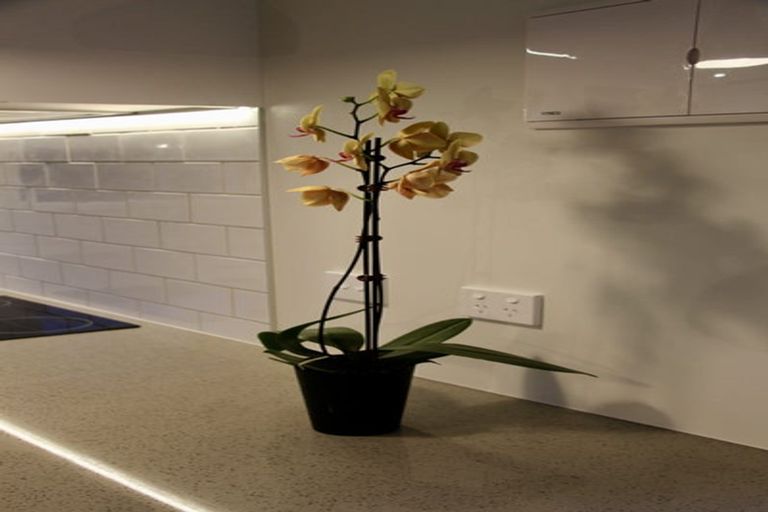 Photo of property in 2/75 Birkdale Road, Birkdale, Auckland, 0626