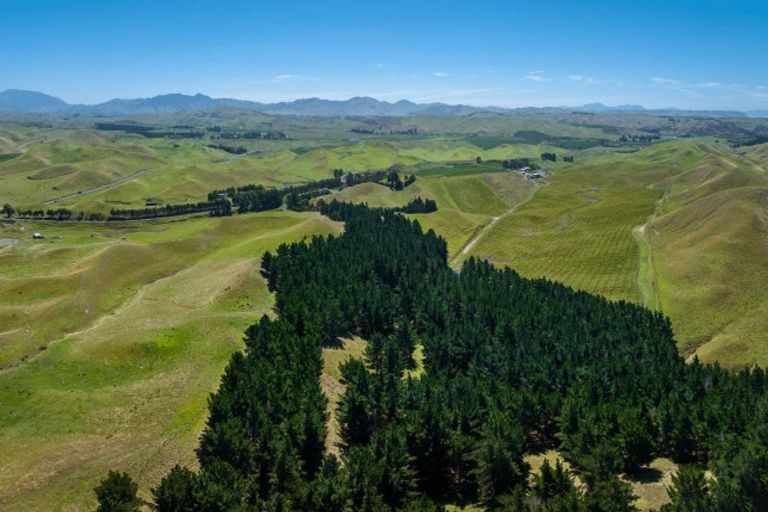 Photo of property in 363 Caseys Road, Lake Grassmere, Seddon, 7285