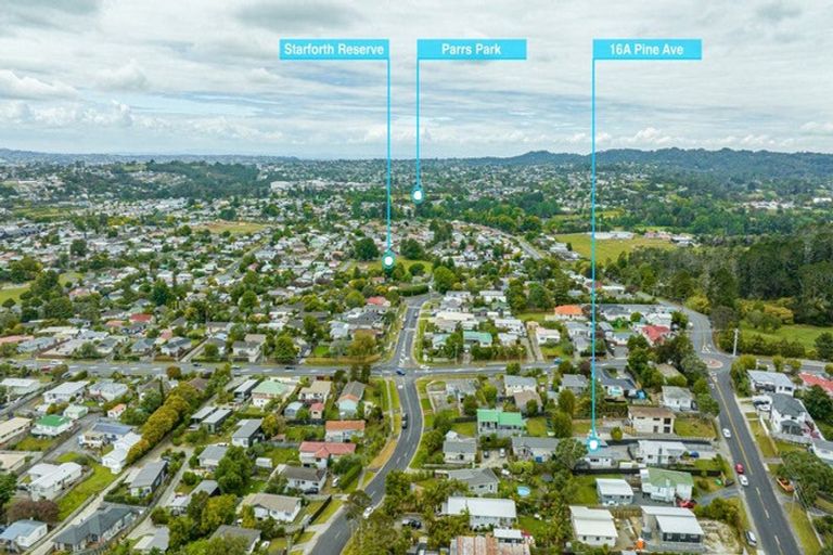 Photo of property in 16a Pine Avenue, Henderson, Auckland, 0612