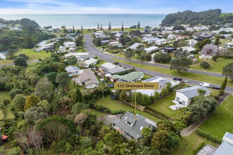 Photo of property in 115 Onemana Drive, Onemana, Whangamata, 3691