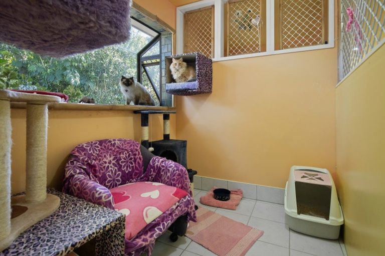 Photo of property in 10 Jenny Lane, Waiuku, 2123