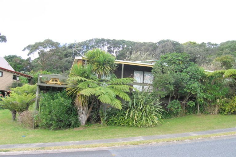 Photo of property in 317 Onemana Drive, Onemana, Whangamata, 3691