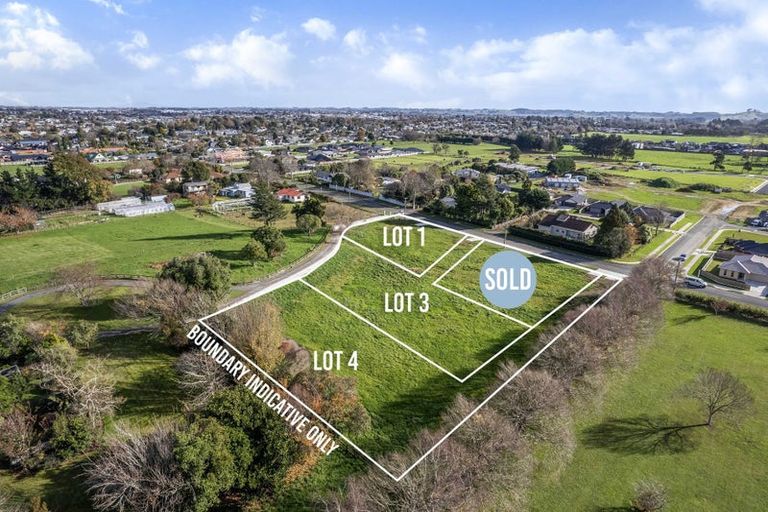 Photo of property in 48 Fairfield Road, Levin, 5510