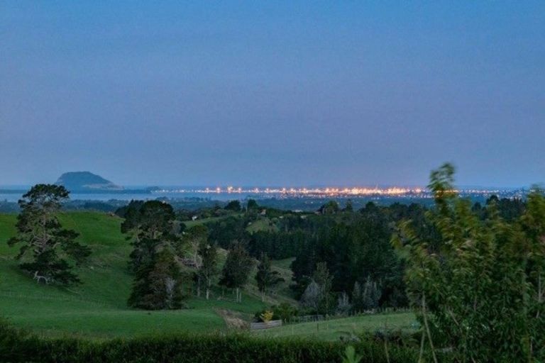 Photo of property in 294 Ross Road, Whakamarama, Tauranga, 3179