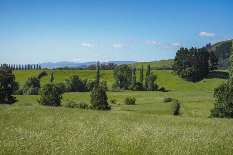 Photo of property in 48 Morrison Road, Taneatua, 3123