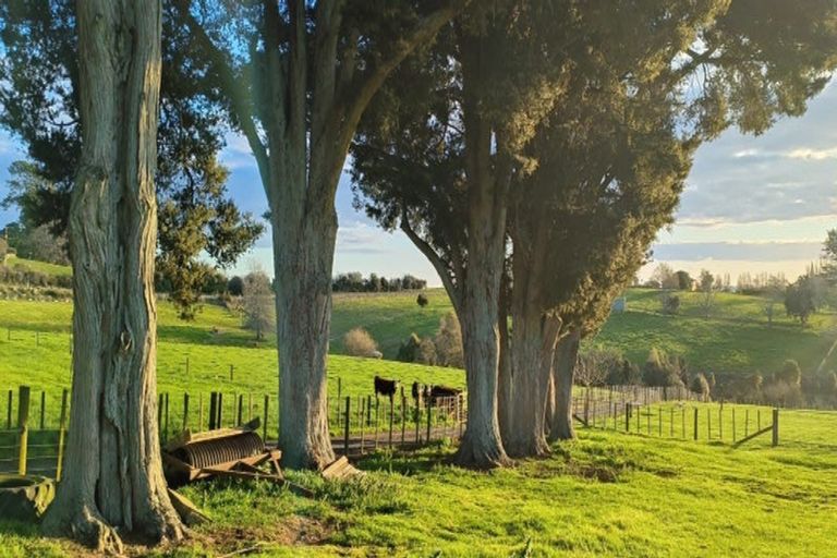 Photo of property in 418 Parklands Road, Rotoorangi, Te Awamutu, 3879