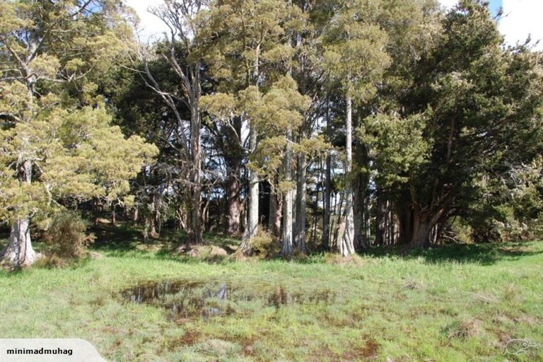 Photo of property in 229 Settlement Road, Kaiwaka, 0573