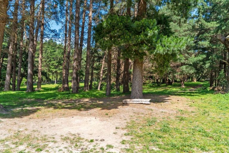 Photo of property in 839 Whangaehu Valley Road, Whangaehu Valley, Masterton, 5886