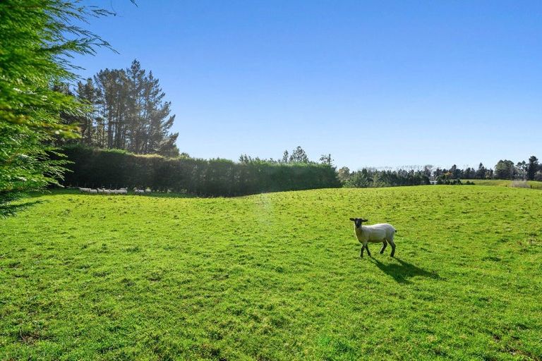 Photo of property in 53 Burnsdale Drive, Ngongotaha Valley, Rotorua, 3072