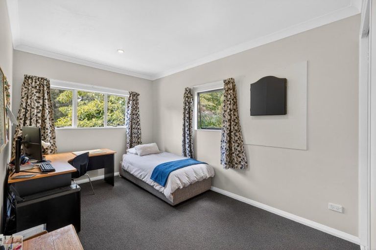 Photo of property in 118 Mcphail Road, Oropi, Tauranga, 3173