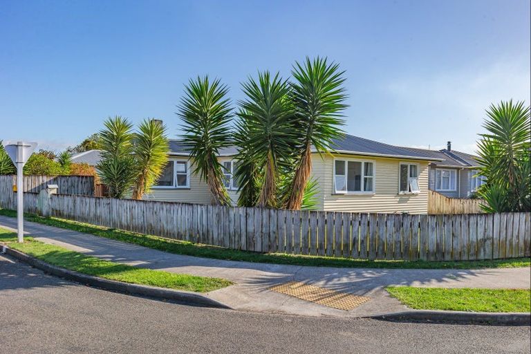 Photo of property in 2 Collingwood Street, Levin, 5510