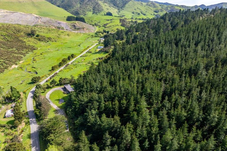 Photo of property in 90 Hoeke Road, Carrington, Carterton, 5791