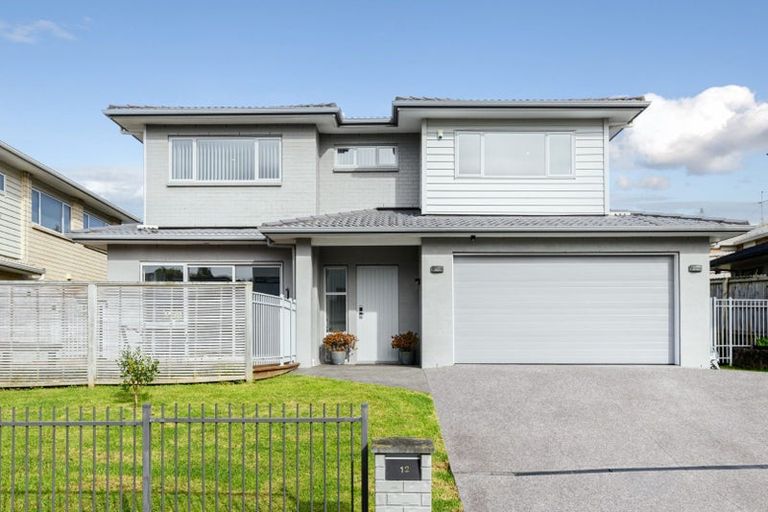 Photo of property in 12 Midhurst Avenue, Henderson, Auckland, 0612