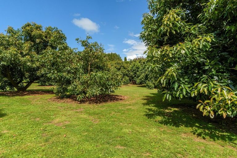 Photo of property in 69 Francis Road, Whakamarama, Tauranga, 3172