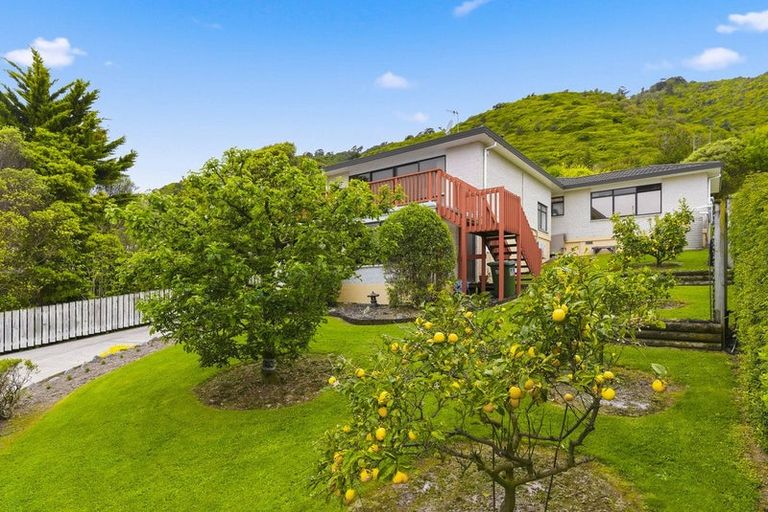 Photo of property in 51 Kotare Street, Waikanae, 5036