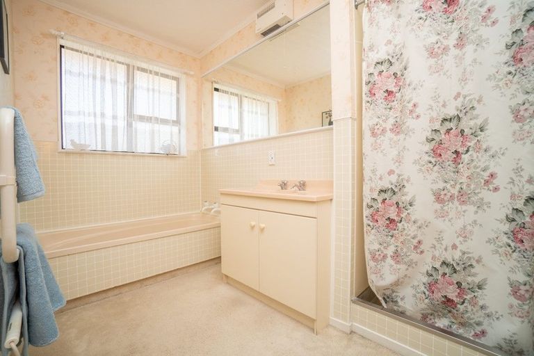 Photo of property in 100 Monrad Street, Highbury, Palmerston North, 4412