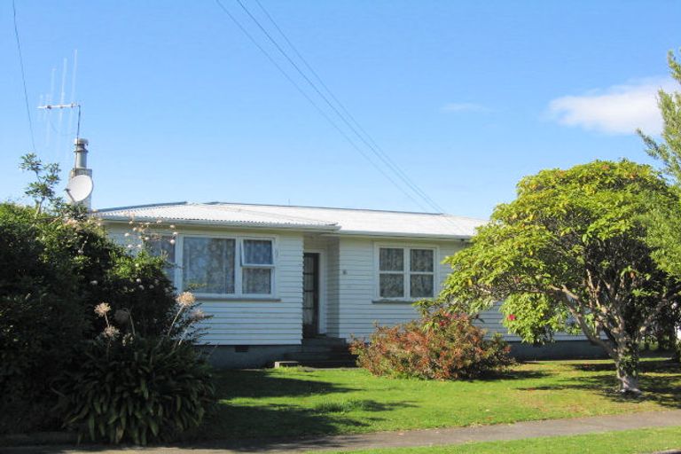 Photo of property in 16 Ferguson Street, Levin, 5510