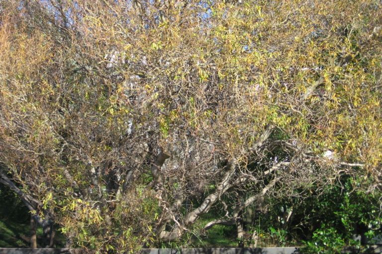 Photo of property in 16b Otanerua Road, Hatfields Beach, Orewa, 0931