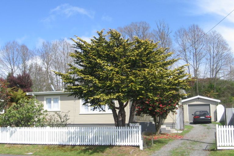 Photo of property in 12 Korari Crescent, Mangakino, 3421