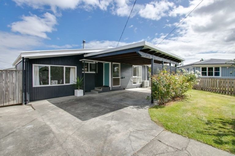 Photo of property in 1101 Allenby Street, Akina, Hastings, 4122