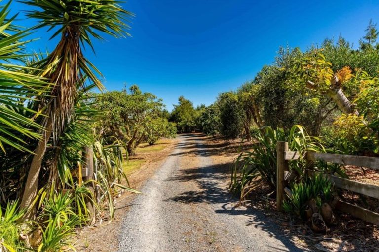 Photo of property in 379c Tara Road, Mangawhai, Kaiwaka, 0573