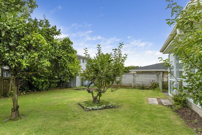 Photo of property in 117 Fourteenth Avenue, Tauranga South, Tauranga, 3112