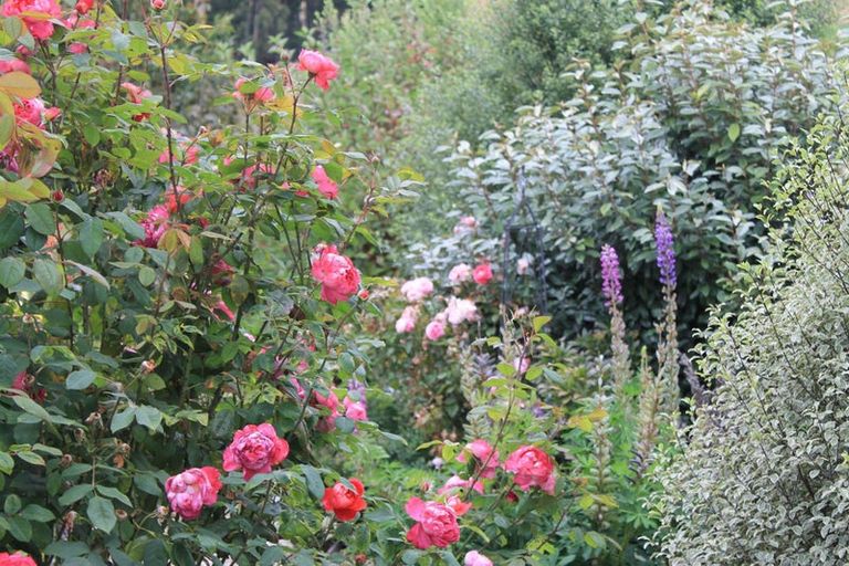 Photo of property in 10a Hill Street, Lawrence, 9532