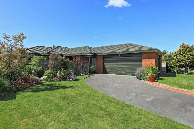Photo of property in 21 Hyatt Grove, Greenmeadows, Napier, 4112