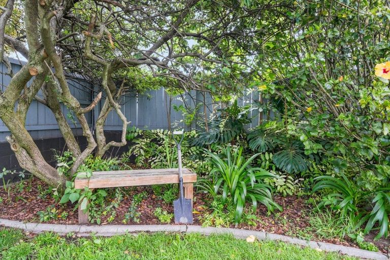 Photo of property in 606 Maunganui Road, Mount Maunganui, 3116