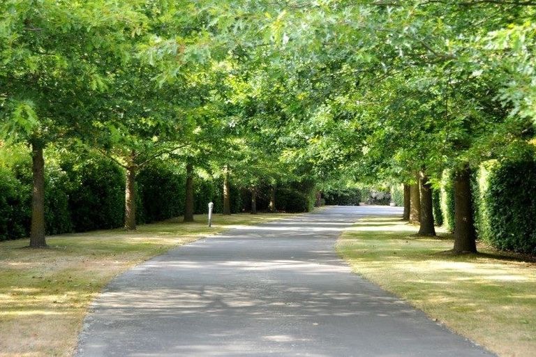 Photo of property in 11 Genesis Drive, West Melton, Christchurch, 7675