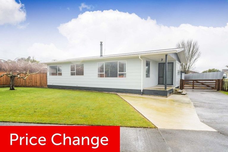 Photo of property in 61 Port Street West, Feilding, 4702