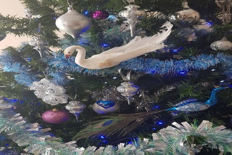 Photo of property in 26 Seaton Street, Marybank, Nelson, 7010