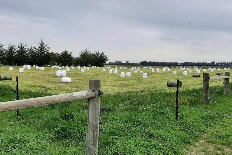 Photo of property in 175 German Road, Cust, Rangiora, 7471