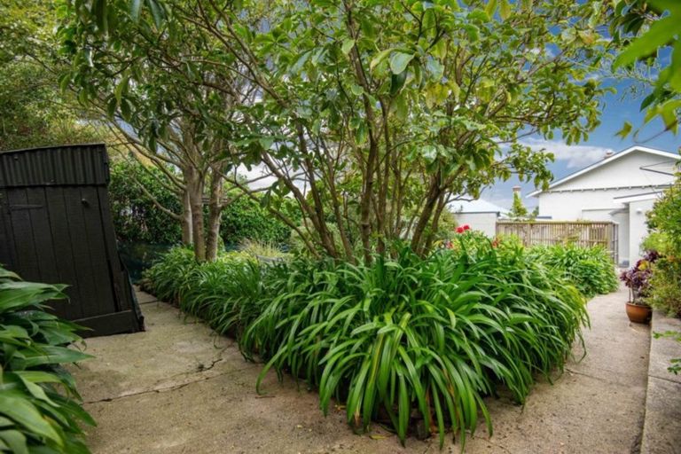 Photo of property in 30 Oakland Street, Andersons Bay, Dunedin, 9013