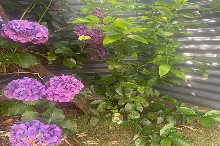 Photo of property in 37 Grey Street, Shannon, 4821