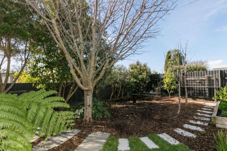 Photo of property in 105 Georges Drive, Napier South, Napier, 4110