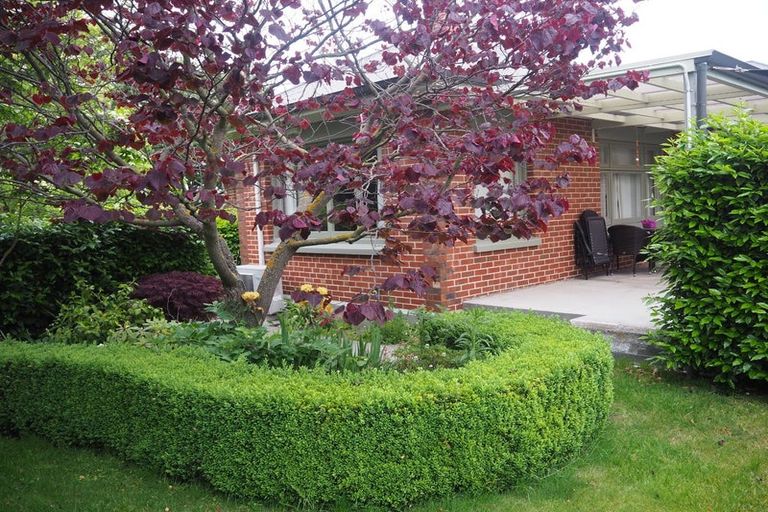 Photo of property in 55 Oak Grove, Ashburton, 7700