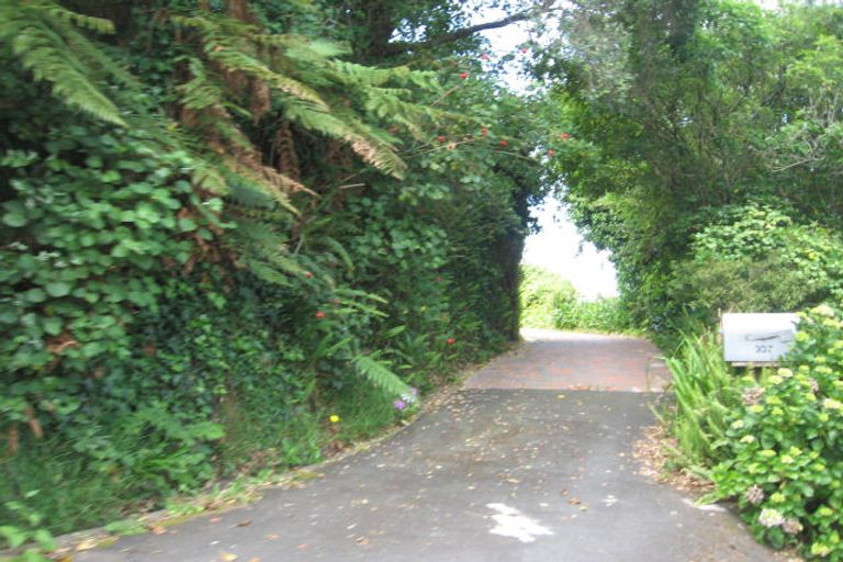 Photo of property in 307 Tanners Point Road, Tanners Point, Katikati, 3177