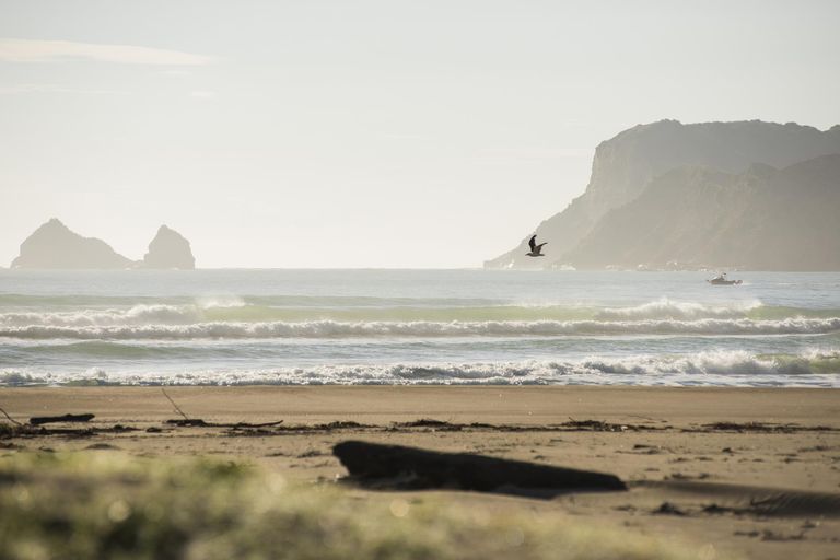 Photo of property in 10 Solander Street, Tolaga Bay, 4077