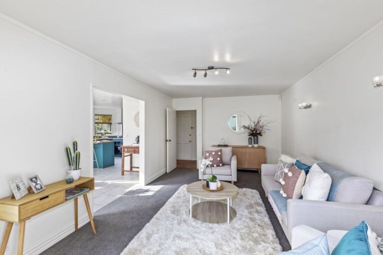 Photo of property in 44a Copeland Street, Hutt Central, Lower Hutt, 5011