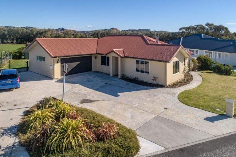Photo of property in 79 Mcelwee Street, Jervoistown, Napier, 4112