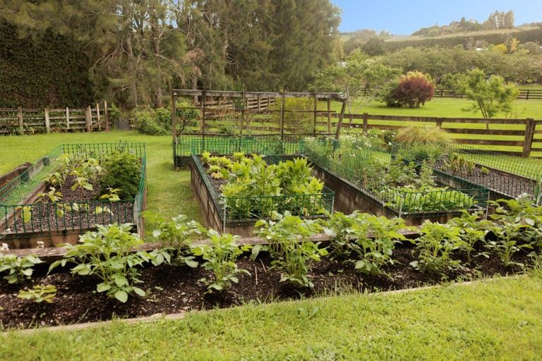 Photo of property in 390d Old Highway, Whakamarama, Tauranga, 3180