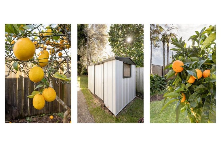 Photo of property in 4 Elmes Place, Matua, Tauranga, 3110