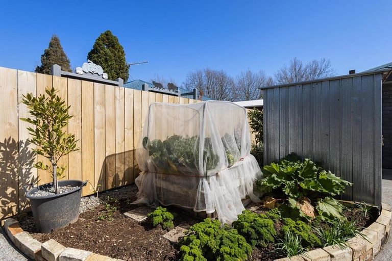 Photo of property in 1a Huia Street, Matamata, 3400