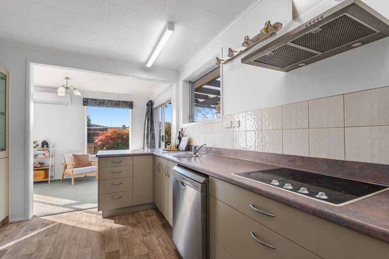 Photo of property in 24 Windsor Street, Springfield, Rotorua, 3015