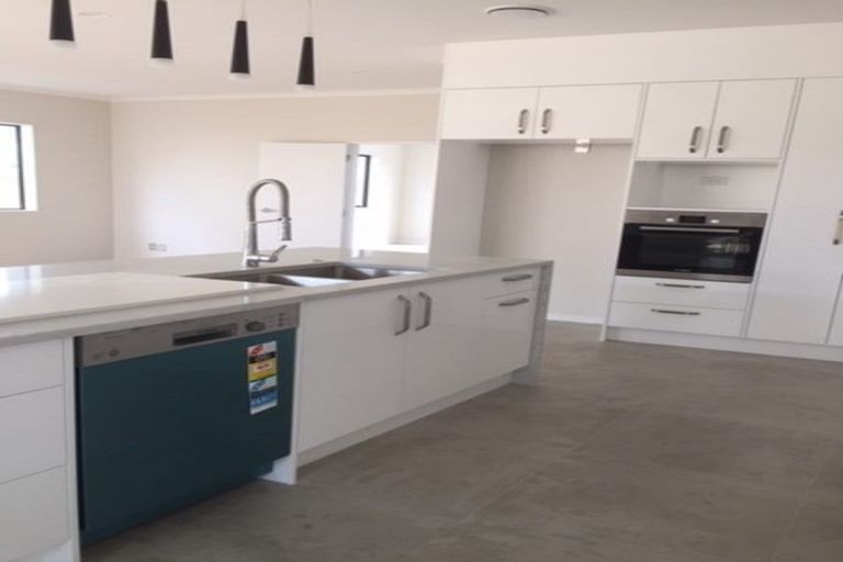 Photo of property in 23 Puoro Street, Flat Bush, Auckland, 2019